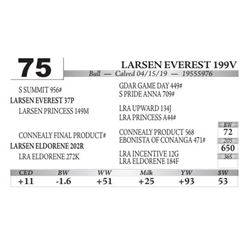 Larsen Everest 199V