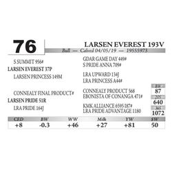 Larsen Everest 193V