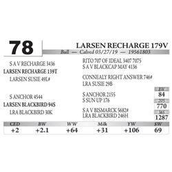 Larsen Recharge 179V