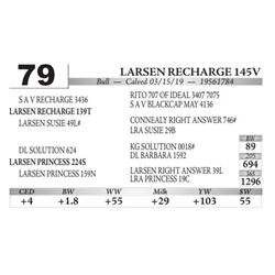 Larsen Recharge 145V