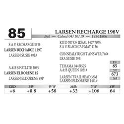 Larsen Recharge 198V