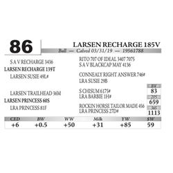 Larsen Recharge 185V