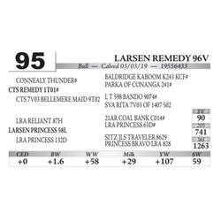 Larsen Remedy 96V