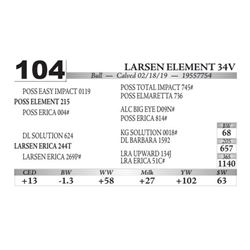Larsen Element 34V