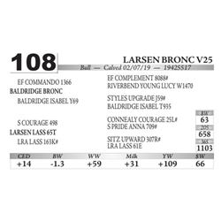 Larsen Bronc V25