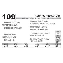 Larsen Bronc V31