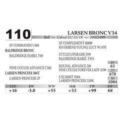 Larsen Bronc V34