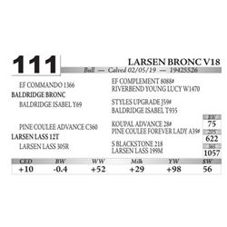 Larsen Bronc V18