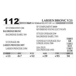 Larsen Bronc V23