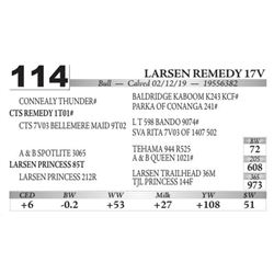 Larsen Remedy 17V