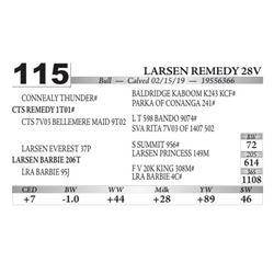 Larsen Remedy 28V