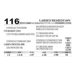 Larsen Remedy 69V