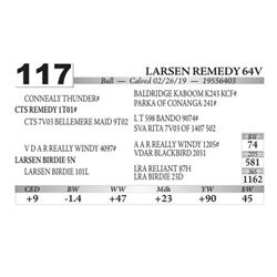 Larsen Remedy 64V