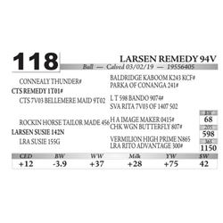 Larsen Remedy 94V