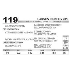 Larsen Remedy 70V