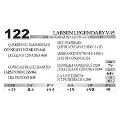 Larsen Legendary V45