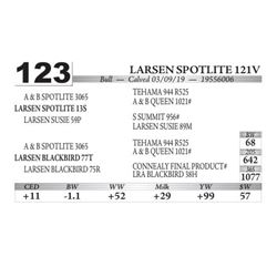 Larsen Spotlite 121V