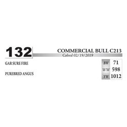 Larsen Sure Fire 213
