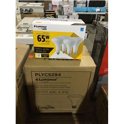 Case of Luminus LED Dimmable 65W Warm White Bulbs (4 x 4)