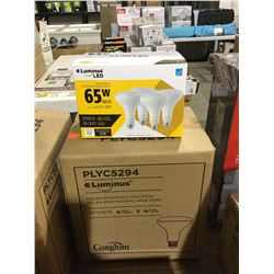 Case of Luminus LED Dimmable 65W Warm White Bulbs (4 x 4)