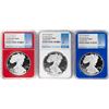Image 1 : Set of 2019-W $1 Proof American Silver Eagle Coins NGC PF70 Ultra Cameo Red White Blue