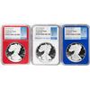 Image 1 : Set of 2019-W $1 Proof American Silver Eagle Coins NGC PF70 Ultra Cameo Red White Blue