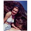 Image 1 : WILLIAM J. CARROLL - Norma Jeane.