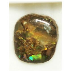 CANADIAN AMMOLITE  GEMSTONE