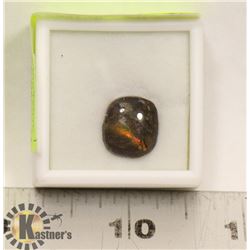 CANADIAN AMMOLITE  GEMSTONE