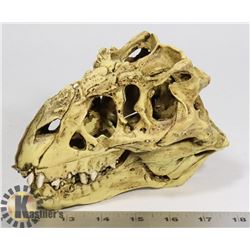 DINOSAUR SKULL