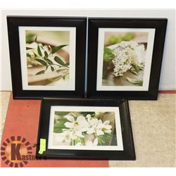 SET OF 3 PICTURES