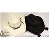 Image 1 : 2 QUALITY COWBOY HATS - ONE ALAMO HAT