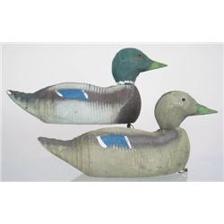 Pair of Animal Trap Company mallards wi