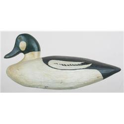 Folky goldeneye drake from Maine in goo