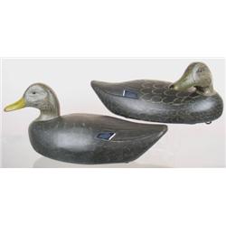 Pair of black duck decoys by noted MI c