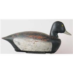 Oversized bluebill drake decoy with gla