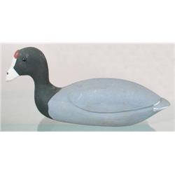 Fresh water coot decoy in XOC with a tu