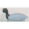 Image 1 : Fresh water coot decoy in XOC with a tu