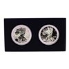 Image 2 : 2013-W $1 American Eagle West Point Two-Coin Silver Set