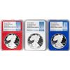 Image 1 : Set of 2019-W $1 Proof American Silver Eagle Coins NGC PF70 Ultra Cameo Red White Blue