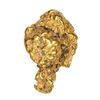 Image 1 : 5.0 Gram Gold Nugget