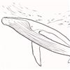 Image 2 : Humpback Whale by Wyland Original