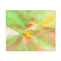 Kaleidoscope by Leung Original