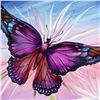 Image 2 : "Rainbow Butterfly" Limited Edition Giclee on Canvas by Martin Katon, Numbered and Hand Signed. This