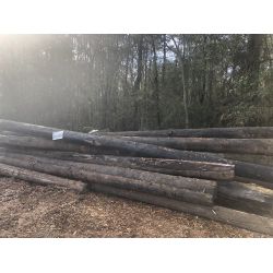wood poles, Selling Offsite: Located in Grove Hill, AL