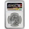 Image 2 : 2018 South Africa Krugerrand Silver Coin NGC MS69 First Day of Issue