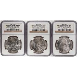 Lot of 1883-O to 1885-O $1 Morgan Silver Dollar Coins NGC Brilliant Uncirculated