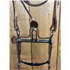 Image 10 : Bridle and Bit with Gold and Silver by Alderson