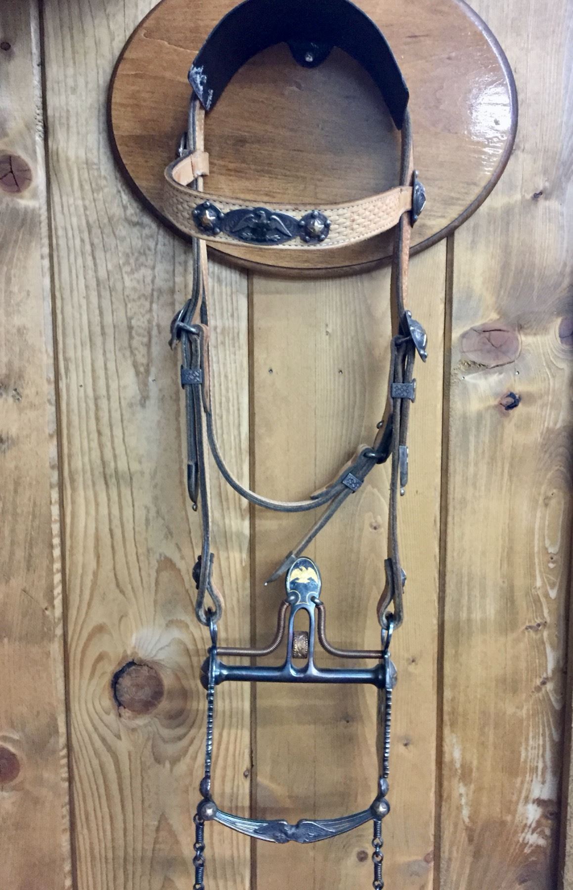 Bridle and Bit with Gold and Silver by Alderson