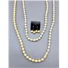 Image 1 : Ivory Necklace and Earrings